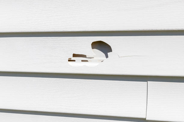 Best Insulated Siding Installation  in Des Moines, IA