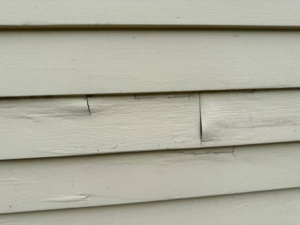 Best Siding Painting and Refinishing  in Des Moines, IA